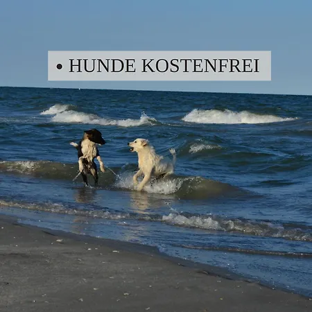 Appartamento Haus Krabbe, 3, Fuer 1-2 Personen, 2 Schlafzimmer, Einzelbetten, An Der Nordsee Naehe Bremerhaven, 3 Hunde Kostenfrei Willkommen, Kostenfreier Parkplatz, Gute Zuganbindung, Zentral Gelegen