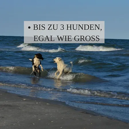Haus Krabbe, 3, Fuer 1-2 Personen, 2 Schlafzimmer, Einzelbetten, An Der Nordsee Naehe Bremerhaven, 3 Hunde Kostenfrei Willkommen, Kostenfreier Parkplatz, Gute Zuganbindung, Zentral Gelegen Appartamento