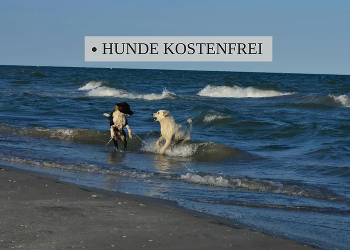 アパート Haus Krabbe, 3, Fuer 1-2 Personen, 2 Schlafzimmer, Einzelbetten, An Der Nordsee Naehe Bremerhaven, 3 Hunde Kostenfrei Willkommen, Kostenfreier Parkplatz, Gute Zuganbindung, Zentral Gelegen