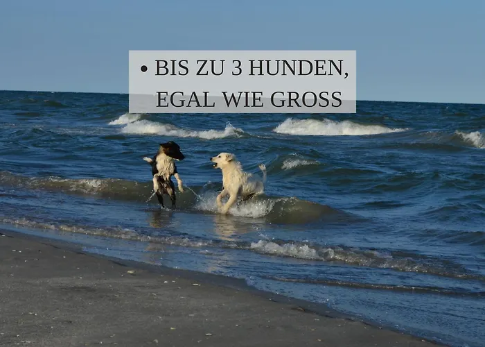 Haus Krabbe, 3, Fuer 1-2 Personen, 2 Schlafzimmer, Einzelbetten, An Der Nordsee Naehe Bremerhaven, 3 Hunde Kostenfrei Willkommen, Kostenfreier Parkplatz, Gute Zuganbindung, Zentral Gelegen アパート